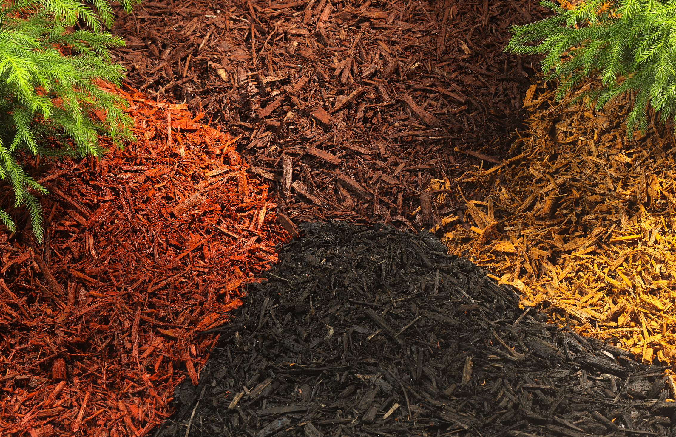 Benefits of Mulch: What, Where, & Why?